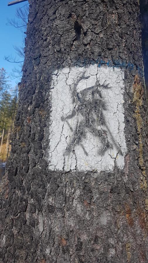 Skały Spały Przesieka Zewnętrze zdjęcie